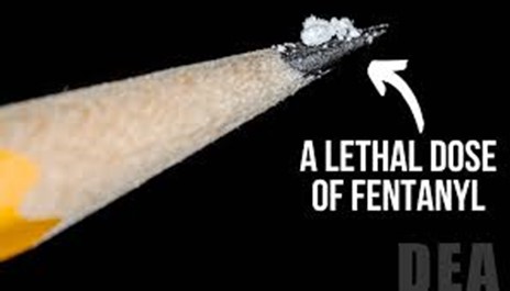 Fentanyl Fentanyl
